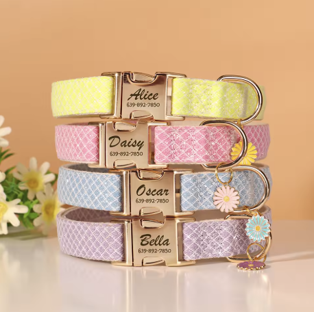 Personalized Engraved Dog Collar
