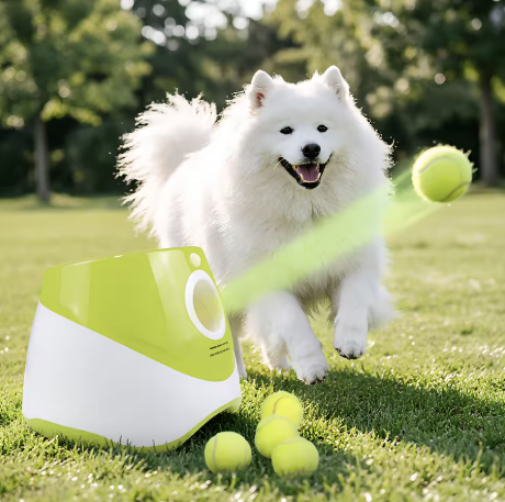 Automatic Dog Ball Launcher