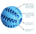 Dental Chew & Treat Dispensing Ball